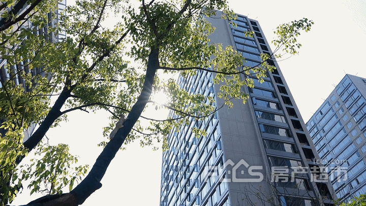 绿城30年美好上新丨嘉兴首个全景样板楼栋，璀璨绽放