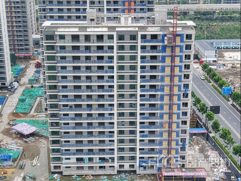 花语禾府 6月家书 | 荷花送夏韵 家书寄匠心